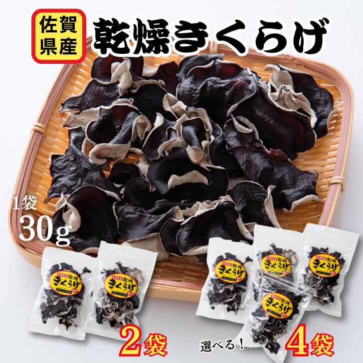 【ふるさと納税】佐賀県産乾燥きくらげ（手作業）選べる2袋・4袋：A085-003｜佐賀県佐賀市