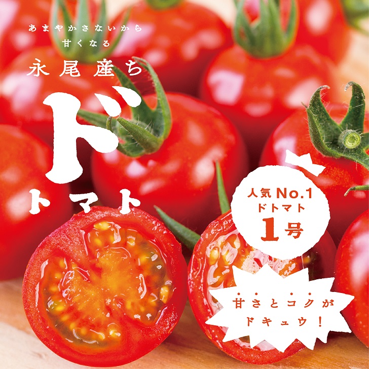 楽天市場】【ふるさと納税】【選べる内容量】ドトマト1号 1kg-2kg