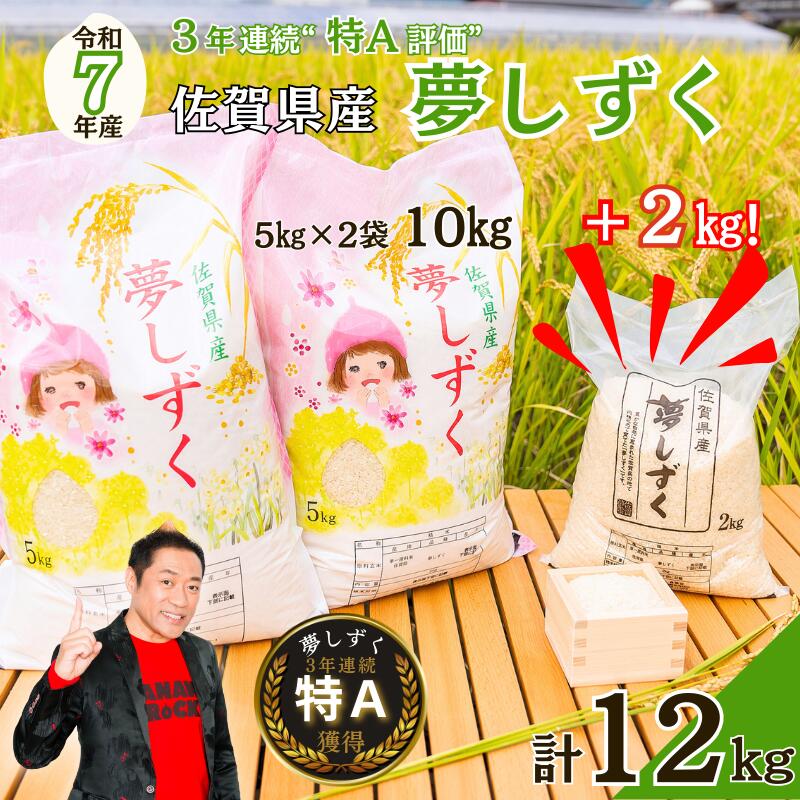 【ふるさと納税】令和7年 佐賀県産夢しずく 白米12kg：B300-045