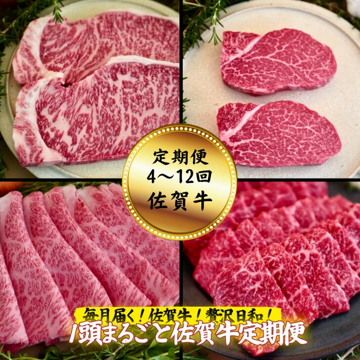 ふるさと納税 佐賀牛豪華12回定期便＜総量15.2kg！＞合計15,200g ゴールドコース 吉野ヶ里町/ミートフーズ華松 黒毛和牛 牛肉 ブランド牛 A4.. 佐賀県吉野ヶ里町 ふるさと納税定期便♪翌月から12ヶ月連続お届け