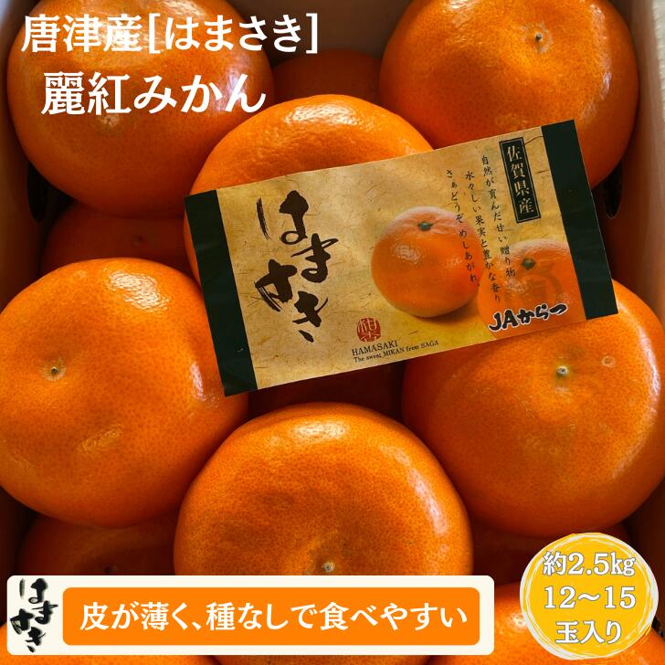 【ふるさと納税】【先行予約】佐賀みかん 唐津産【はまさき】麗紅みかん：B210-021