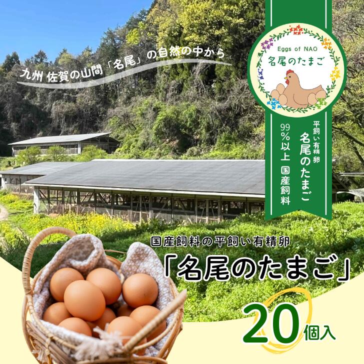 【ふるさと納税】国産飼料の平飼い有精卵「名尾のたまご」20個入：B100-045