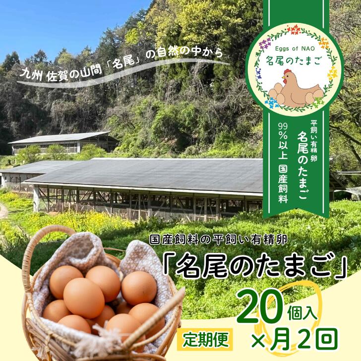 【ふるさと納税】【定期便24回】国産飼料の平飼い有精卵「名尾のたまご」20個入：C210-003