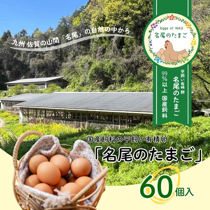 【ふるさと納税】国産飼料の平飼い有精卵「名尾のたまご」60個入：B230-015