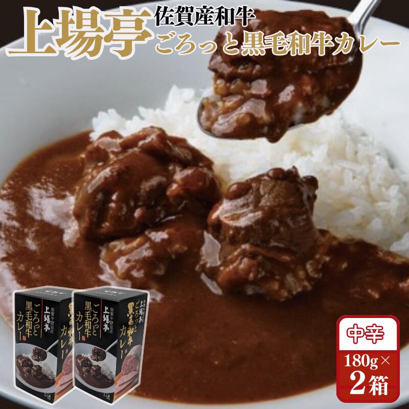 【ふるさと納税】ごろっと黒毛和牛カレー 佐賀牛 カレー ビーフカレー レトルト 湯煎 レンジ調理 簡単 ：A080-011