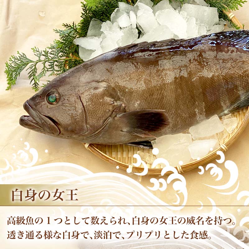 市場 ふるさと納税 料亭の味をそのままご家庭で ポン酢600ml 白身の高級魚マハタ鍋 マハタ300g 3 もみじおろし30g 6人前セット