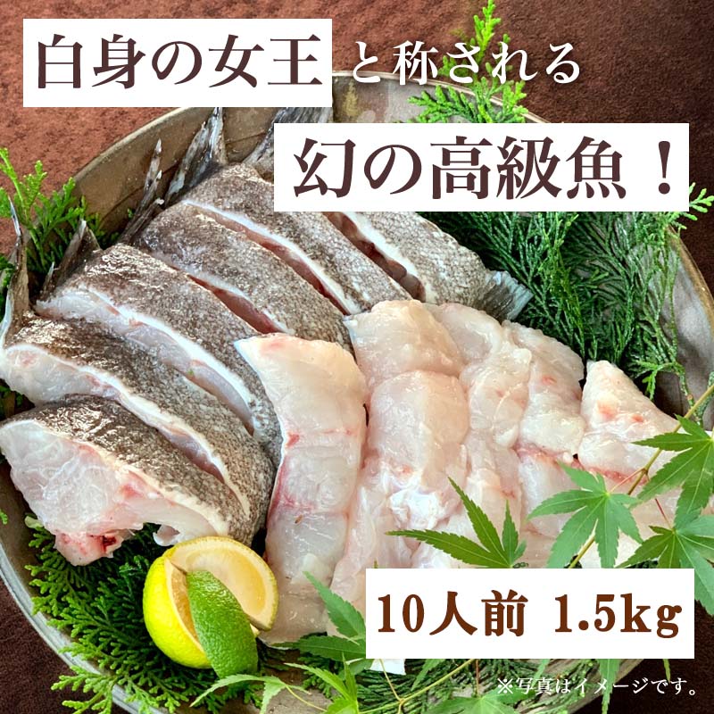 市場 ふるさと納税 四季の返礼品 白身の高級魚マハタ鍋 ポン酢1 000ml 10人前セット Irodoriからつ マハタ300g 5 もみじおろし50g