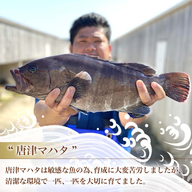 市場 ふるさと納税 四季の返礼品 白身の高級魚マハタ鍋 ポン酢1 000ml 10人前セット Irodoriからつ マハタ300g 5 もみじおろし50g