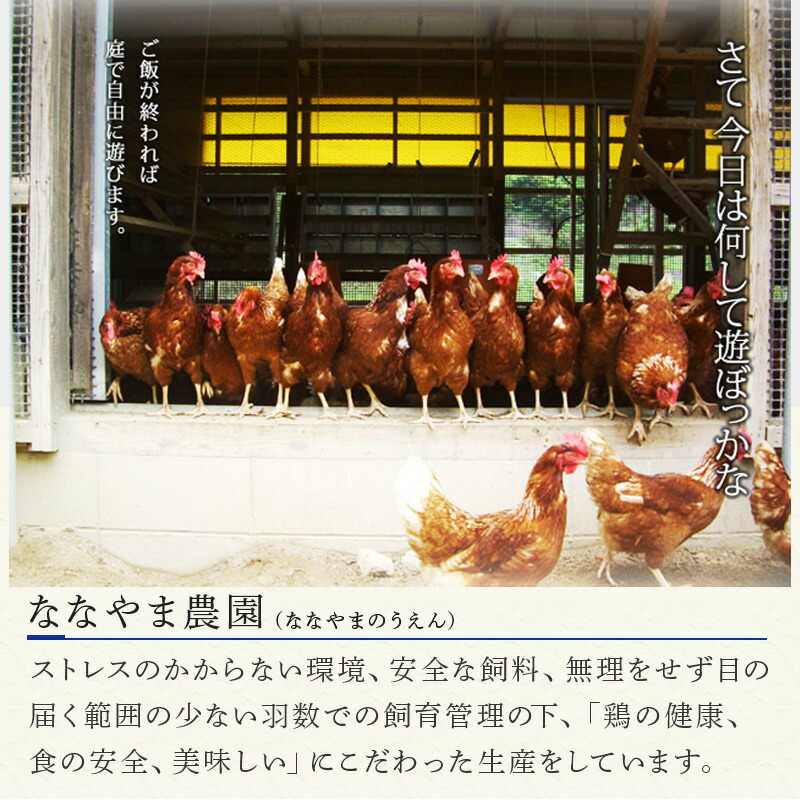 ◇高品質 平飼い卵40個 食用 i9tmg.com.br