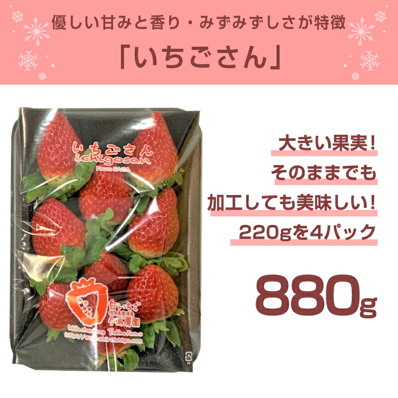 【ふるさと納税】「予約受付」いちごさん約220g×4パック(合計約880g)いちご苺贈答