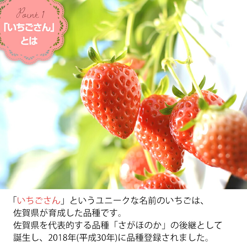 【ふるさと納税】「予約受付」いちごさん約220g×4パック(合計約880g)いちご苺贈答