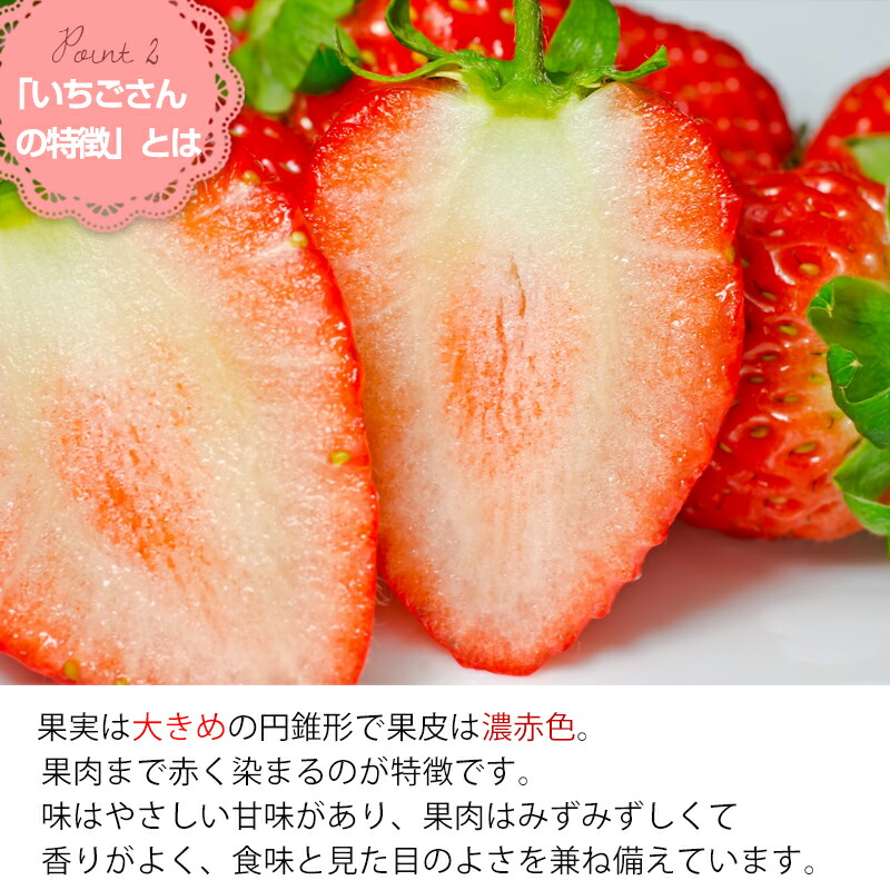 【ふるさと納税】「予約受付」いちごさん約220g×4パック(合計約880g)いちご苺贈答