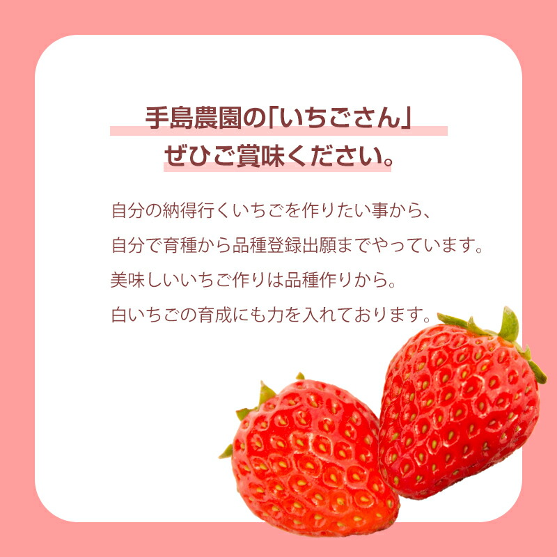 【ふるさと納税】「予約受付」いちごさん約220g×4パック(合計約880g)いちご苺贈答