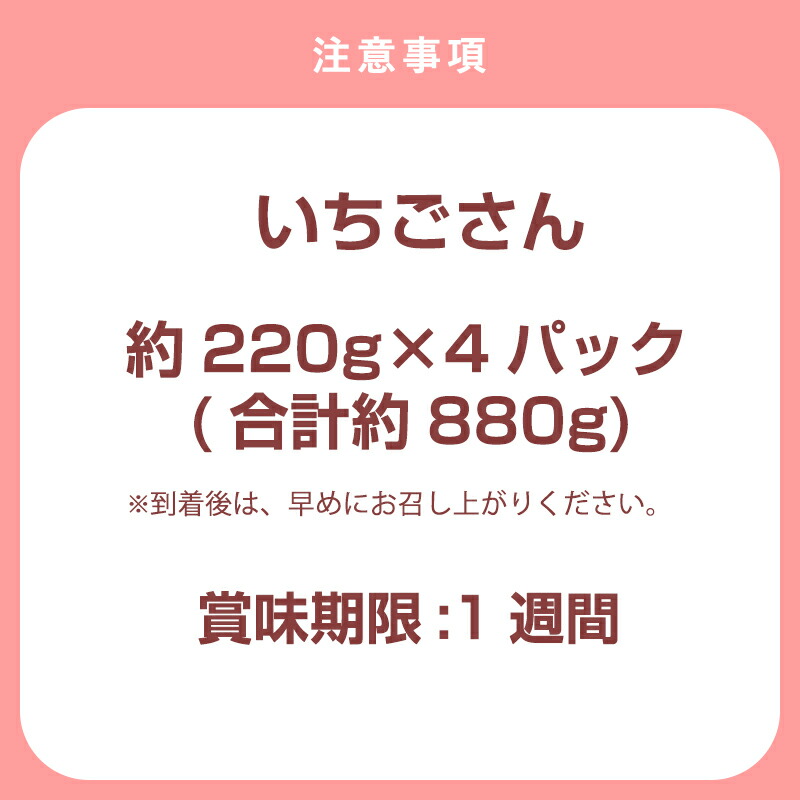 【ふるさと納税】「予約受付」いちごさん約220g×4パック(合計約880g)いちご苺贈答