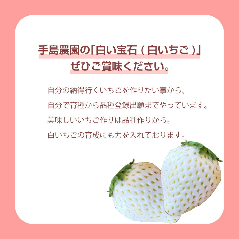 市場 ふるさと納税 令和5年2月から発送 予約受付 白いちご 130g×4P 白い宝石 合計520g 訳あり