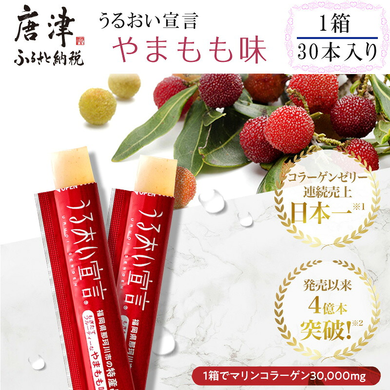 【ふるさと納税】うるおい告げ知らせる やまもも味 １箱 30本入 約1ヶ月分 コラーゲンゼリー 脂質無し 突っ支い棒 「2026年 令和8年」