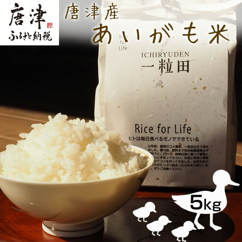 楽天市場】【ふるさと納税】唐津産 あいがも米 5kg (玄米) 一粒