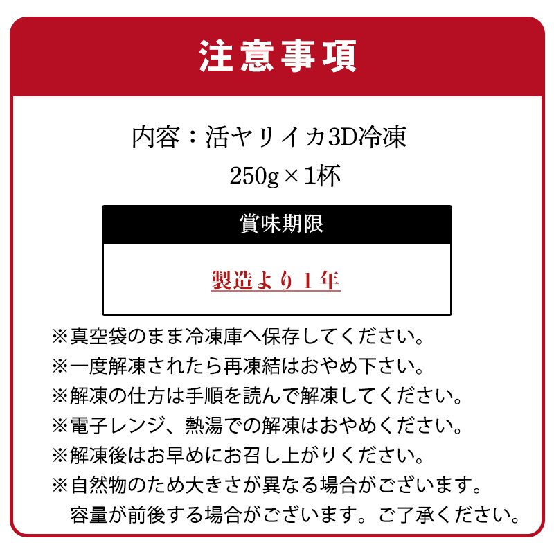 マーケティング 唐津呼子産いか活造り 1杯 250g 急速冷凍 新鮮そのまま食卓へ イカ 刺身 簡単 ギフト 2022年 令和4年  tessamerica.com.br