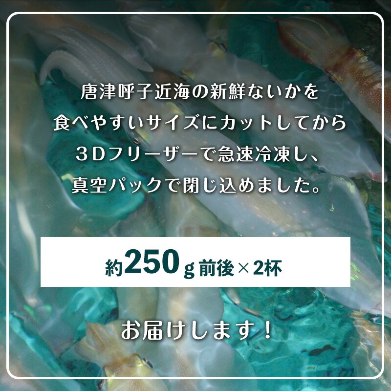 激安商品 唐津呼子産いか活造り 2杯 250g×2 急速冷凍 新鮮そのまま食卓へ イカ 刺身 簡単 ギフト 2022年 令和4年  www.todoceremonia.es