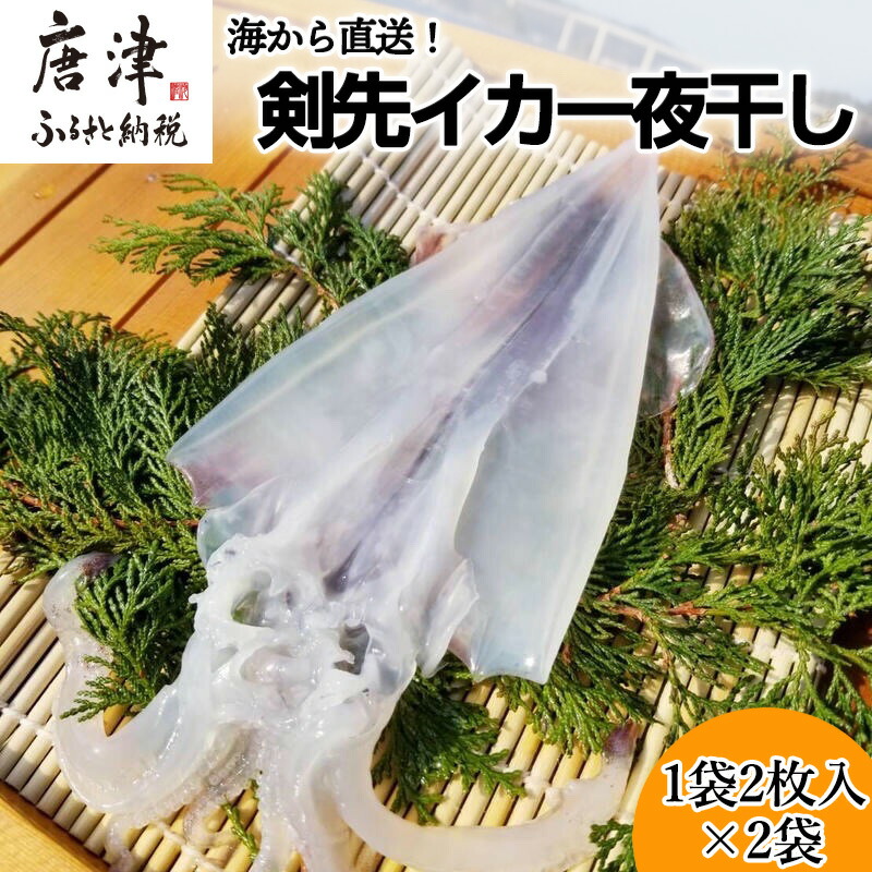【ふるさと納税】『先行予約』【7月より順次発送】海から直送！剣先イカ一夜干し1袋2枚入り(200ｇ)×2袋 いか おつまみ 干物 酒の肴