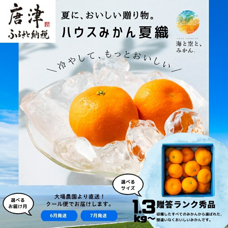 【ふるさと納税】『先行予約』【令和7年6月上旬発送】夏の極上ハウスみかん「夏織」1.3kg～箱込10kg「容量を選べる！」～海と空と、みかん～ 甘くてとろける夏の果物に ミカン フルーツ 柑橘