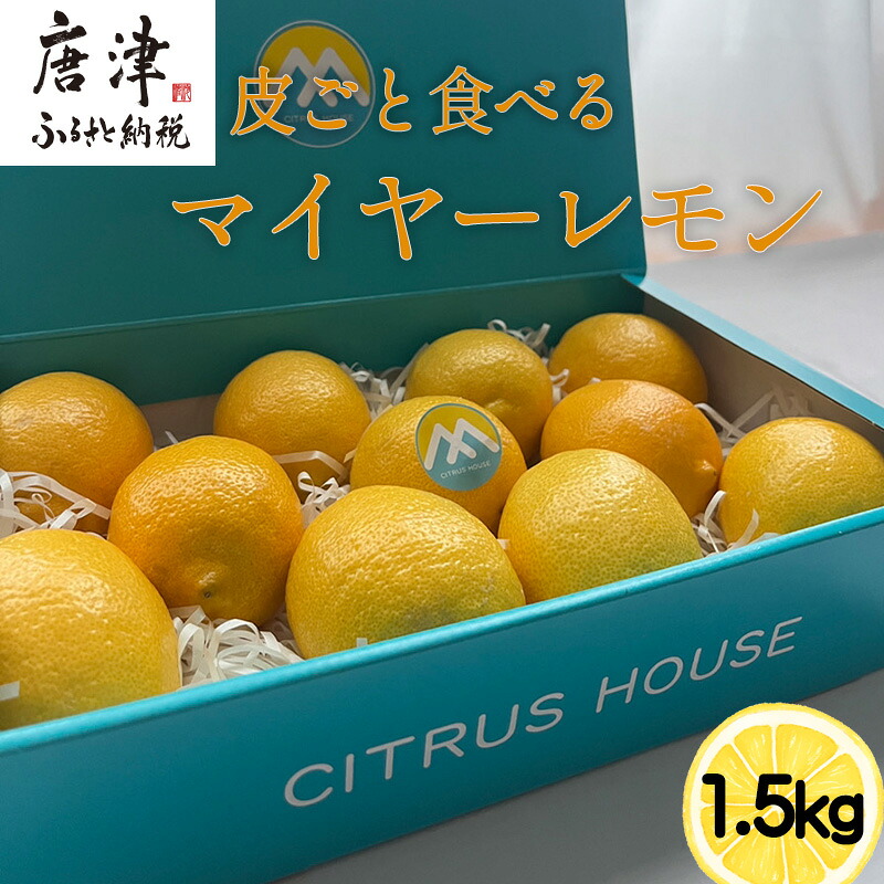 【ふるさと納税】『先行予約』【令和8年11月より順次発送】皮ごと食べる マイヤーレモン 1.5kg 唐津産 柑橘 レモン れもん 檸檬 10,640円