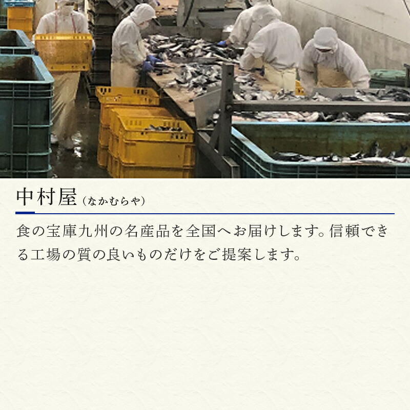 SALE／59%OFF】 全6回定期便 肉厚の塩サバ切身 昆布風味 30切れセット 寄附翌月から発送 鮮魚 魚介 おかず 2022年 令和4年  fucoa.cl