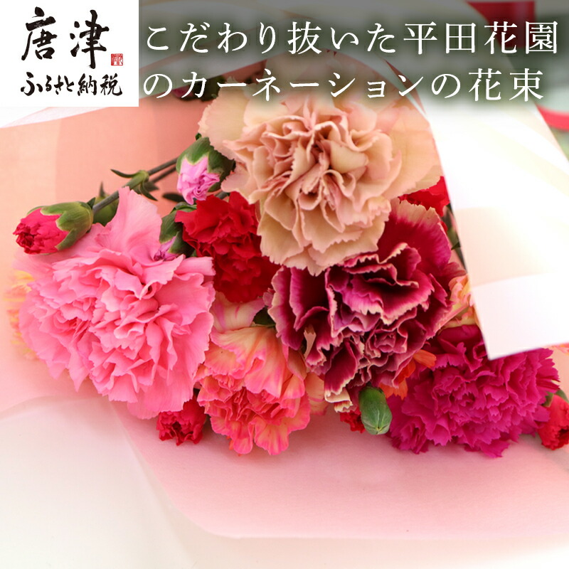 ふるさと納税 農林水産大臣賞4度受賞 生産者が厳選 こだわり抜いた平田花園のカーネーションの花束 色鮮やかなカラーバリエーションと長い日持ちに驚いてください 生産者が厳選 電話番号 Wevonline Org