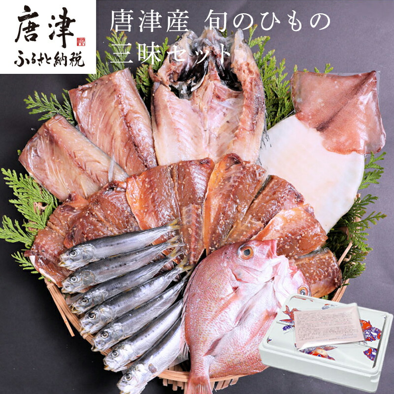 【ふるさと納税】グルメ大賞受賞 唐津産 旬のひもの三昧セット 唐津産 旬サバ 旬アジみりん 金時鯛一夜干し(旬の白身魚干物)呼子 イカ一夜干し 大分産真イワシ丸干し トロあじ開き 6種17尾 干物セット 干物 「2025年 令和7年」