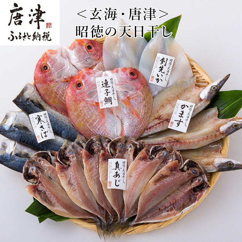 【ふるさと納税】昭徳の天日干し 1枚60g~90g 全16枚(真あじ開き60g×6枚 真さば片身90g×3枚 かます開き80g×3枚 連子鯛開き180g×2枚 剣先いか開き70g×2枚) おかず ギフト「2025年 令和7年」