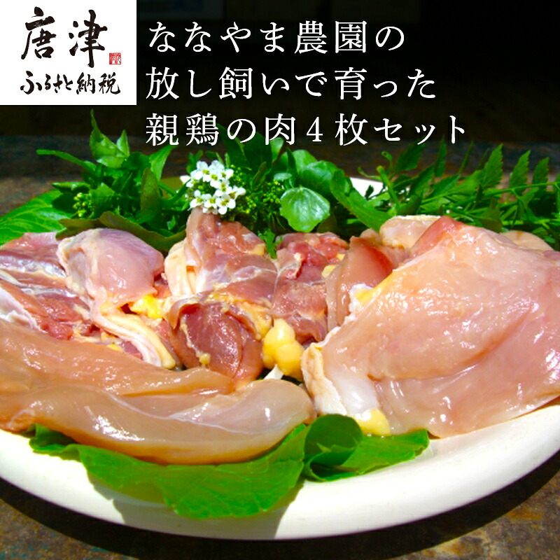 【ふるさと納税】佐賀県産 放し飼いで育った親鶏の肉 (もも むね ささみ各2枚×4) 煮込み料理 たたき
