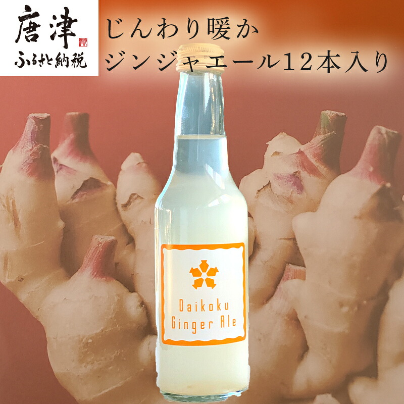 【ふるさと納税】生姜濃縮 ジンジャエール 250ml×12本 生姜の味がギューッと1本に濃縮 「2026年 令和8年」