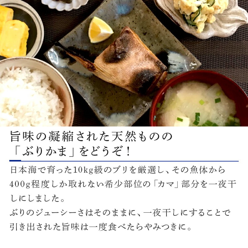 ふるさと納税 生れ乍らぶりかま一夜干し Geo2 Co Uk