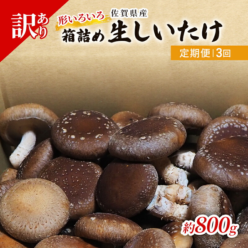 【ふるさと納税】定期便 3ヶ月 訳あり しいたけ 佐賀県産 箱生しいたけ 約800g 訳アリ 椎茸 きのこ 3回 お楽しみ