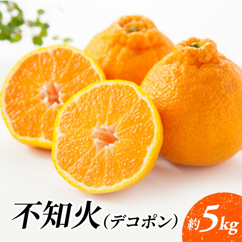 【ふるさと納税】でこぽん 不知火（デコポン）約5kg 柑橘 果物 フルーツ デザート ※配送不可:離島　お届け：2027年1月中旬～2月下旬まで｜佐賀県鳥栖市