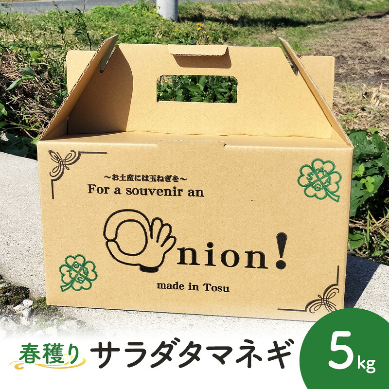 【ふるさと納税】玉ねぎ 春穫り サラダタマネギ 5kg 野菜 タマネギ 発送時期：2027年4月初旬から　お届け：2027年4月初旬～2027年4月20日頃まで｜佐賀県鳥栖市
