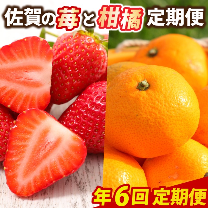 【ふるさと納税】定期便 6回 佐賀の苺と柑橘定期便 いちご 柑橘 年6回 ※配送不可：北海道、沖縄県、離島　お届け：ご寄附(入金)頂いた月の次月回より配送開始となります