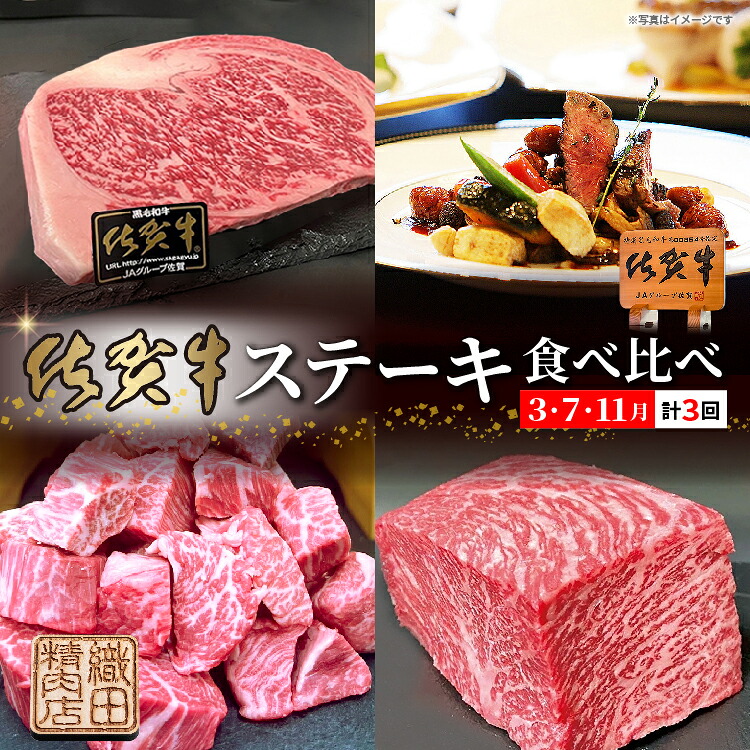 【ふるさと納税】佐賀牛ステーキ食べ比べ【３月・７月・１１月】 _p-15