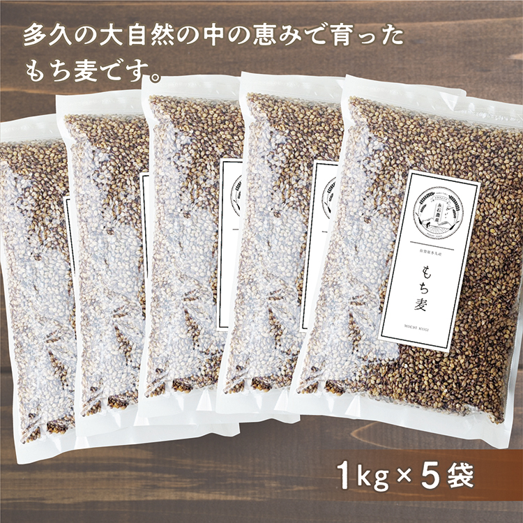 【ふるさと納税】 今より素敵な貴方の 食習慣！ お腹 スッキリ ヨ～デル 麦！ 永石さんちの もち麦 ５ｋｇ (b-382)