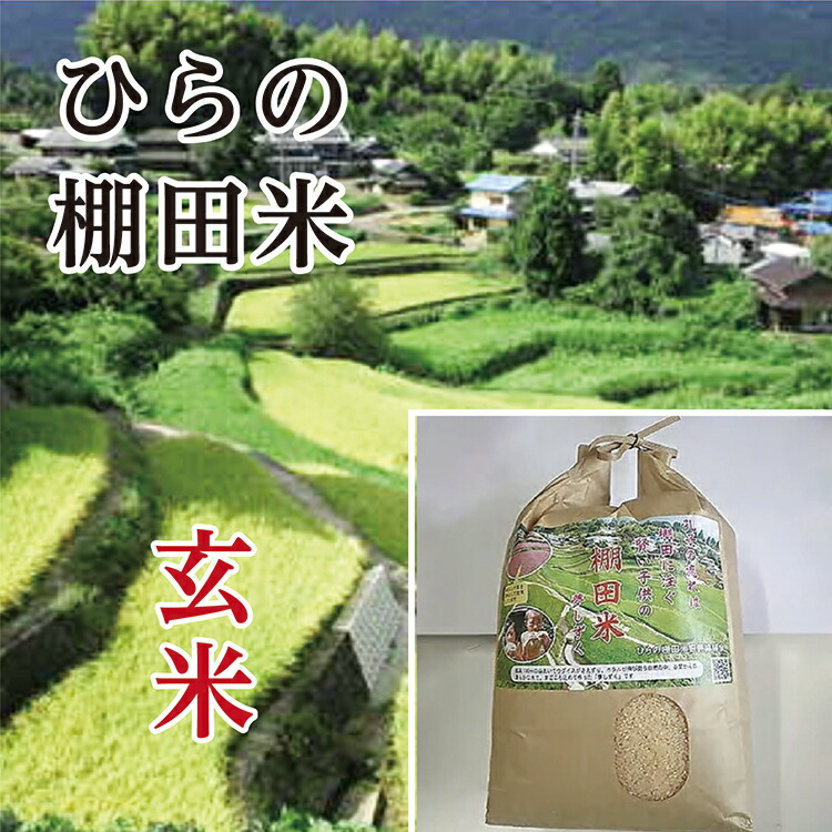 【ふるさと納税】【令和7年産】 棚田米 夢しずく 玄米 5kg × 2袋 計 10kg ひらの棚田米 | 玄米 5キロ 2袋 計 10キロ こめ コメ 米 お米 ごはん _b-248