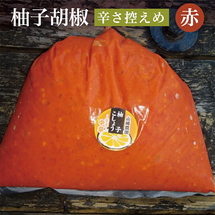 【ふるさと納税】ｂ－１８３　銀座有名店使用の柚子胡椒（ゆずこしょう）【赤】【辛さ控えめ】１kg