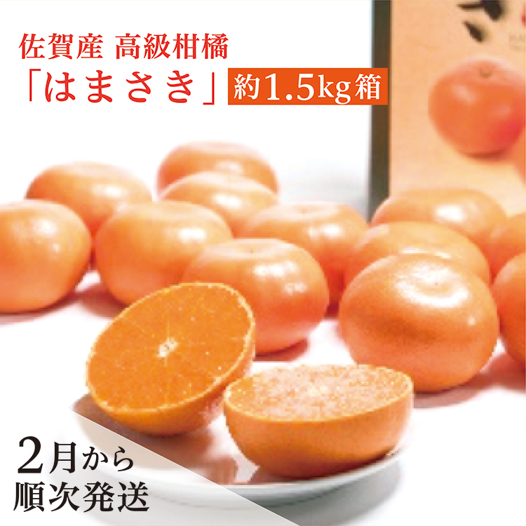 【２月から順次発送】佐賀産高級柑橘（かんきつ）『はまさき』約１.５ｋｇ箱