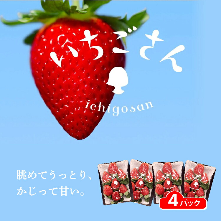 【ふるさと納税】【先行予約】佐賀県産 いちごさん 960g (240g×4パック) | 2027年1月より順次発送 苺 イチゴ フルーツ 果物 佐賀 _b-496 11,900円