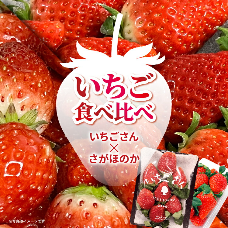 【ふるさと納税】【1月以降発送】佐賀県産 いちご 食べ比べ 480g (いちごさん さがほのか 各240g) | 先行予約 苺 イチゴ 果物 旬 デザート 小分け _b-497 7,200円
