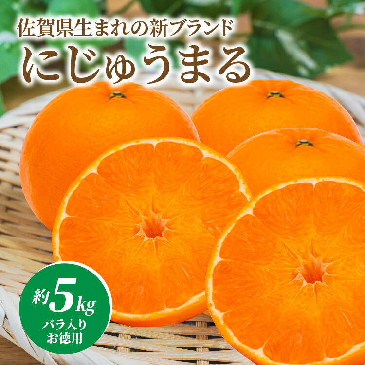 【ふるさと納税】にじゅうまる 約5kg バラ入り お徳用 _e-38|佐賀県多久市
