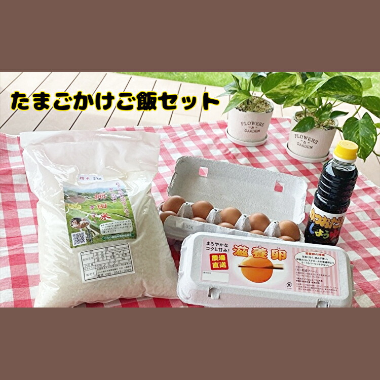 【ふるさと納税】 相浦 ファーム の 滋養卵 を使用 たまご かけ ご飯 セット 【 卵 精米 醤油】 ｂ－２６３