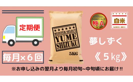 【ふるさと納税】【定期便】夢しずく白米5kg×6回B371