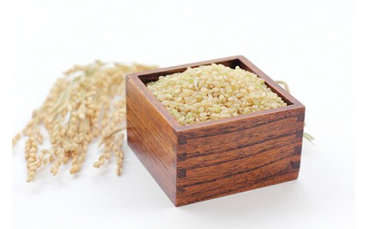【ふるさと納税】佐賀県産ゆめしずく（特A） 玄米5kg&times;3回定期便 999-B827｜佐賀県伊万里市