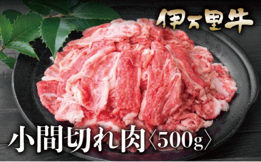 【ふるさと納税】伊万里牛 A5 小間切れ 500g 015-J622【 国産 ブランド牛 伊萬里牛 冷凍 ふるさと納税 牛肉 】｜佐賀県伊万里市