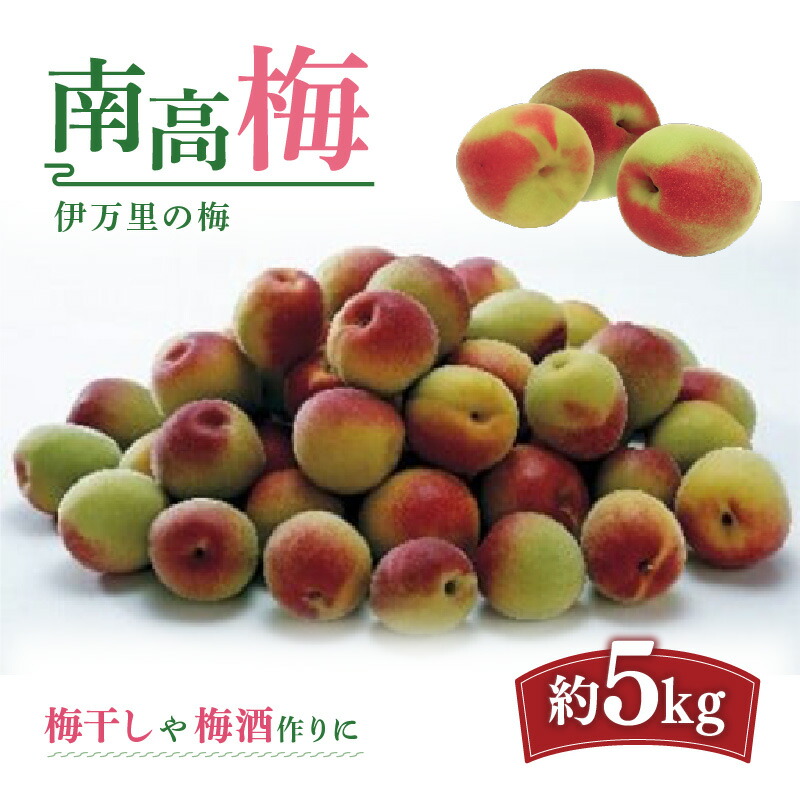 【ふるさと納税】伊万里の梅 南高梅 5kg入り B062